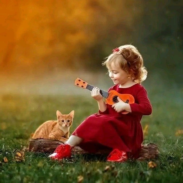 ✨مجرد حلم 💞 tweet media