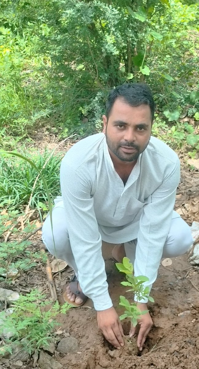 Deepakchanu's tweet photo. वृक्षारोपण महायज्ञ–2026 के अंतर्गत छज्जुपुरा,हल्दौर स्थित अपने प्रतिष्ठान पर अमरूद का पौधा रोपित किया।

आपका अपना- इंजी• दीपक चौहान उर्फ चानू 
जिला उपाध्यक्ष भाजयुमो (जनपद-बिजनौर) 
सभासद, नगर पालिका परिषद,हल्दौर 
पूर्व भाजपा विस्तारक (जिला-टोंक)राजस्थान प्रदेश https://t.co/Ve1pCtPEGJ