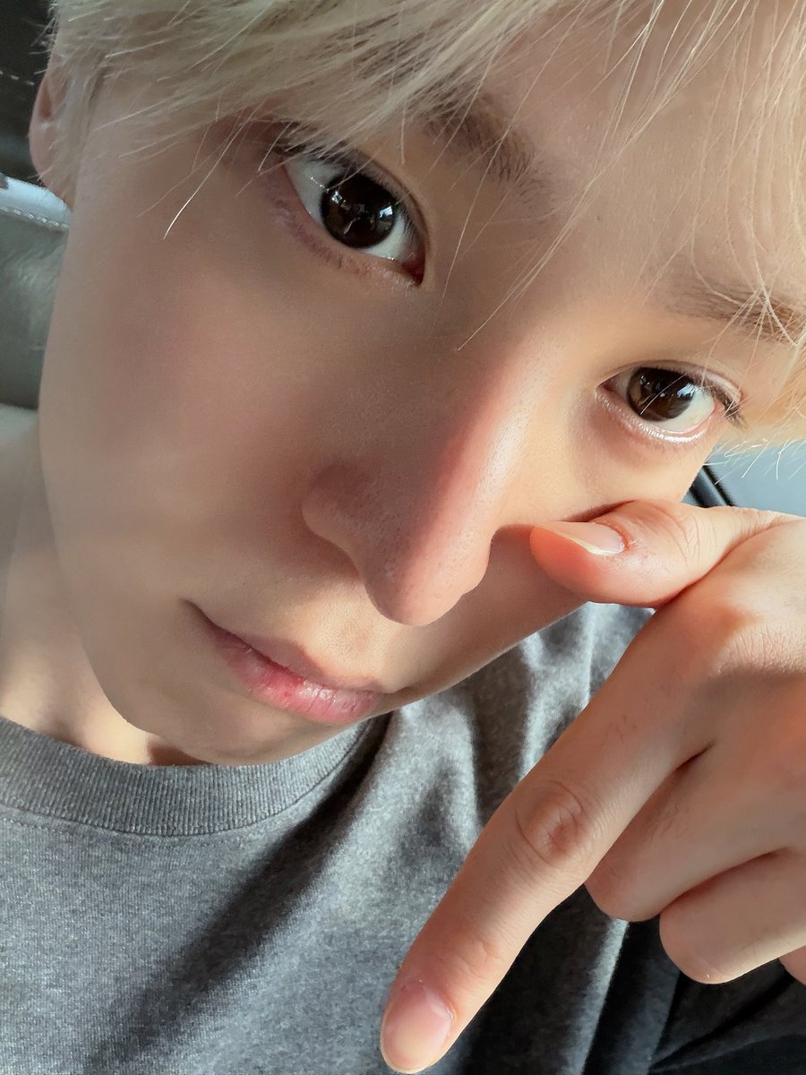 yunheol's tweet photo. proposing an idea: sealion yunho https://t.co/T0pyAbDB6O