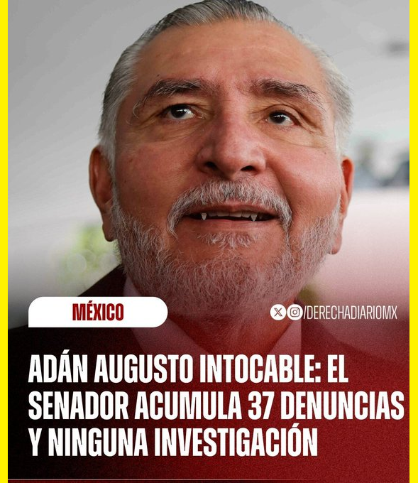 edubacio's tweet photo. .
Decía La Sirvienta Claudia... "Que Denuncien" "No hay Denuncias"...
37 𝑫𝑬𝑵𝑼𝑵𝑪𝑰𝑨𝑺 y ninguna carpeta de Investigación o si existe esta muy escondida.
#NarcoGobiernoDeMorena https://t.co/ZUhyirp6MT