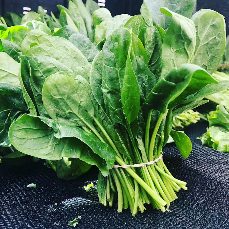 ariastark1234's tweet photo. This 100% organic baby spinach is a game-changer! Crisp, earthy, and zero dirt—perfect for smoothies or salads. Worth every penny! https://t.co/w0kRUoCWbS