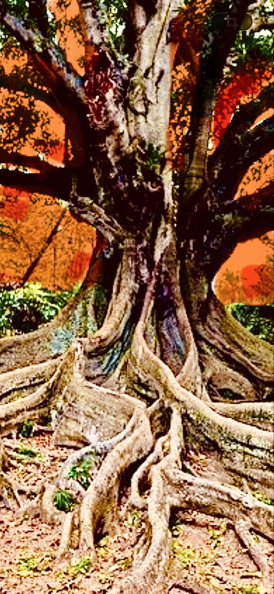 Shicalla77's tweet photo. Ich las eine Arthur Machen Story
und fiel unmerklich in einen arkadischen Tagtraum 
#arthurmachen #fantasy #realität https://t.co/8efOxHzjWG