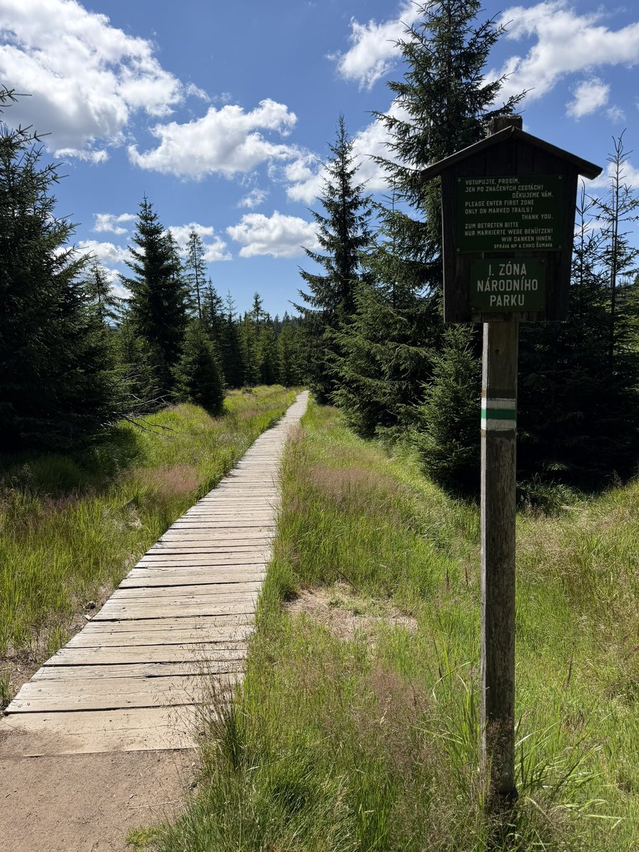 tony_ver2's tweet photo. Výlet na Březník 12.07.2026

#turistika #CzechRepublic #vylety #czechia   #les #forest #Summer #summervibes #hikingadventures #sumava #bohmerwald #reka #voda #breznik #purstling #plzensky #kraj 1/3 https://t.co/V9dhfa1yjf