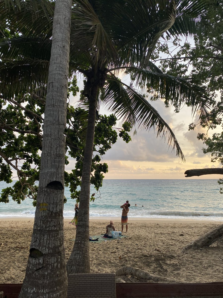 CarlPirs's tweet photo. Mon île me manque🇾🇹 https://t.co/FuS4trNeth