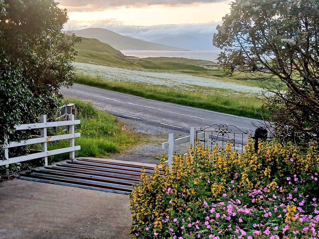 mogibarra's tweet photo. The view from our house, looking across to Taransay. The machair white with flowers at this time of year. ❤️ https://t.co/6p31wpmEJc