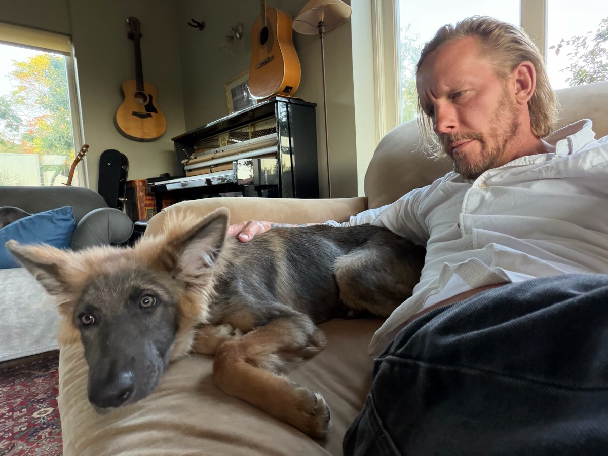 Laurence Fox tweet media