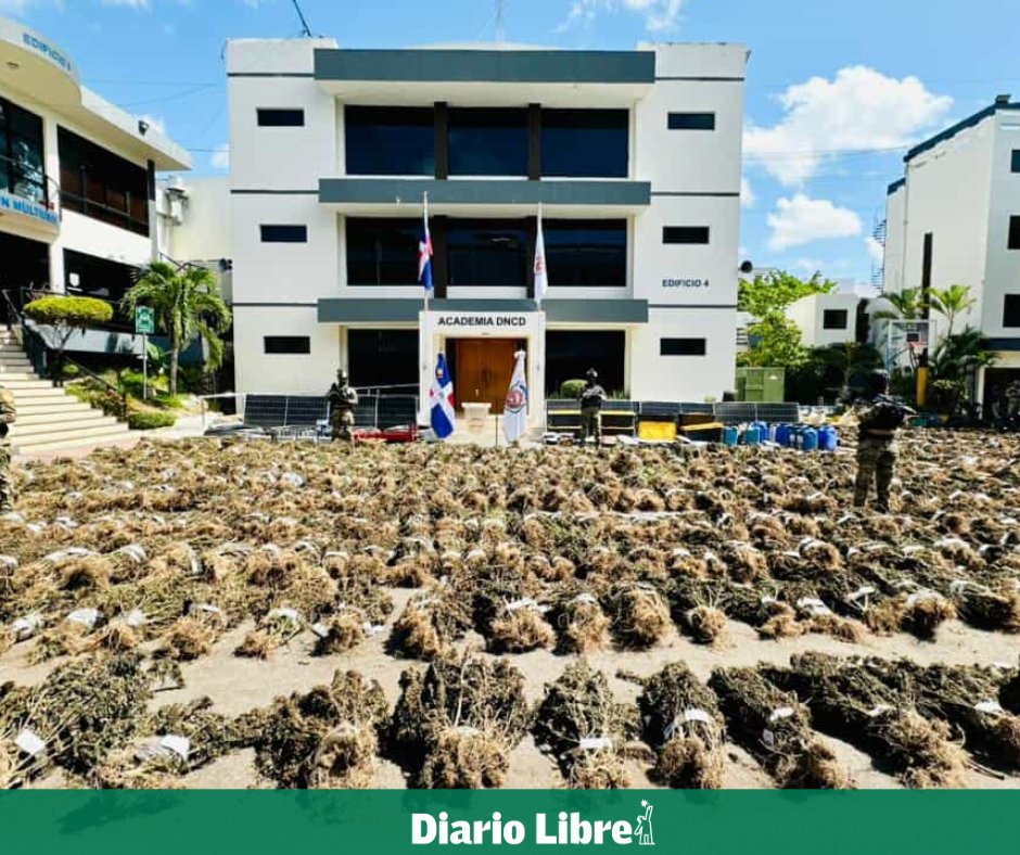 DiarioLibre's tweet photo. ⚖ |#JusticiaDL| Tribunal de Ocoa ordena liberar a tres hombres detenidos por plantación de marihuana en El Pinar 

🔗https://t.co/AHUFNf3Tdi

#DiarioLibre #Ocoa #Marihuana #ElPinal https://t.co/WkIk5Qgg7b