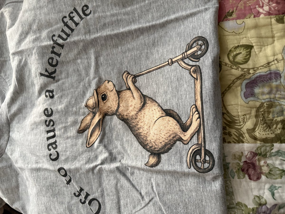 CandaceHavens's tweet photo. The wonderful @jeffejones_ makes me lol. And I love his t-shirts, which he’s selling. I love a graphic T. #graphictee #funnyshirt #mysteryauthor https://t.co/17BcbeTGek