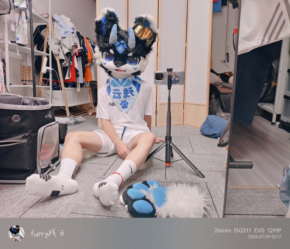 🐾残云吃不胖☁️ tweet media