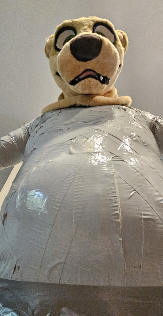 Dingus Otter 🔜 MFF tweet media