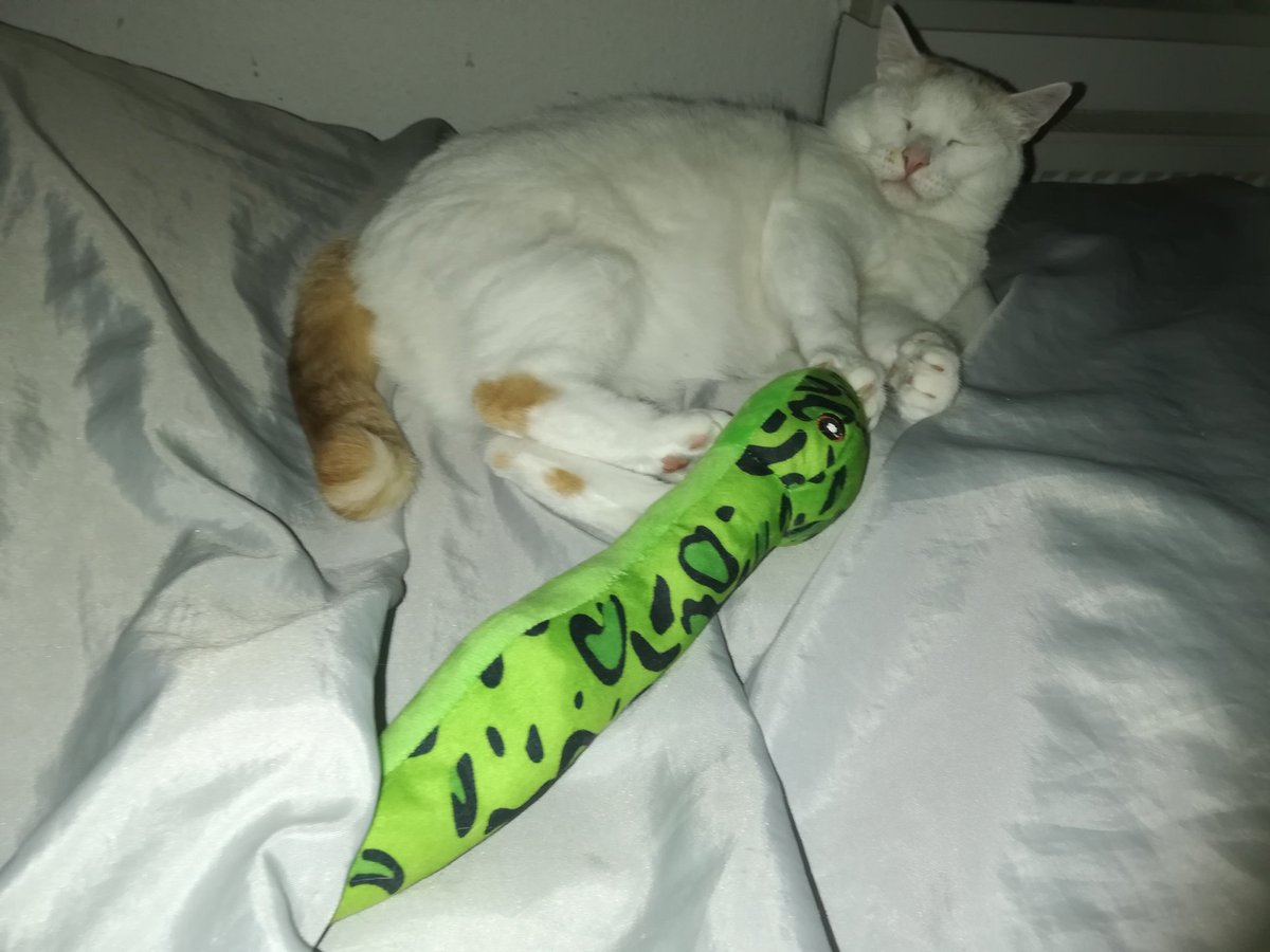 Anat68's tweet photo. @Kristinartz Bowie. Then there are Gaia, Hera, Pallas Athene (Polly), Anne Bonney, my late beloved Felines:Madonna, Elvis, Captain Jack Sparrow, Pauline,Janis Joplin, Jerry Lee Lewis, Ella Fitzgerald, Jimmy Hendrix. https://t.co/LUZSlATeJt