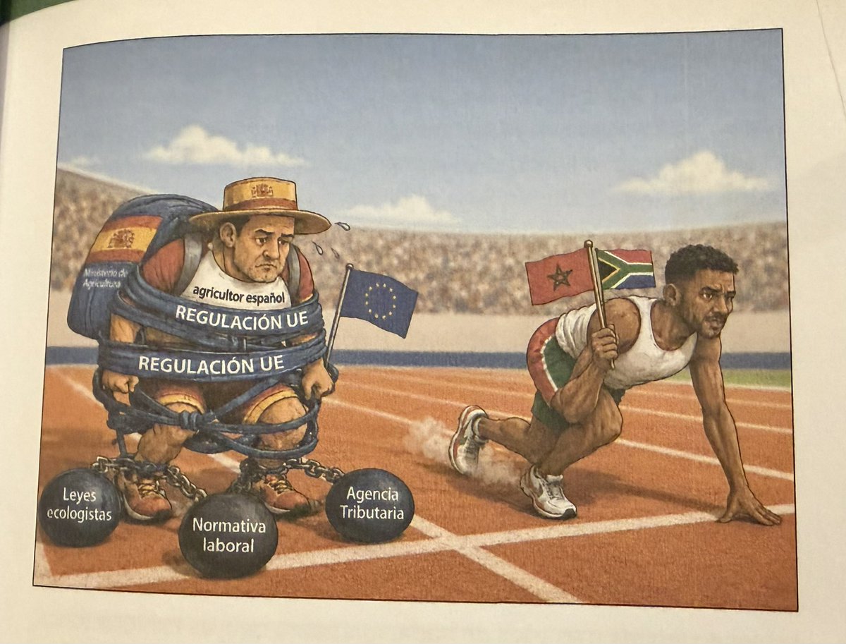 hermanntertsch's tweet photo. No hay imágenes que mejor expongan la tragedia del campo español que estos competidores y la comparativa de exportaciones de tomate de España que es de la UE y Marruecos que no lo es pero es tratada mucho mejor que si lo fuera. Siempre, sistemáticamente, en perjuicio de España.
Todo ello y mucho más está en el soberbio programa de DESREGULACIÓN de VOX.