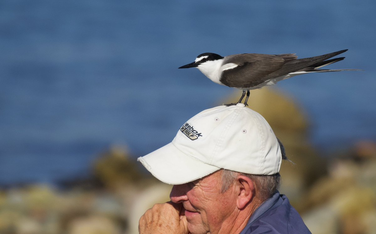 wSweetBirding tweet picture