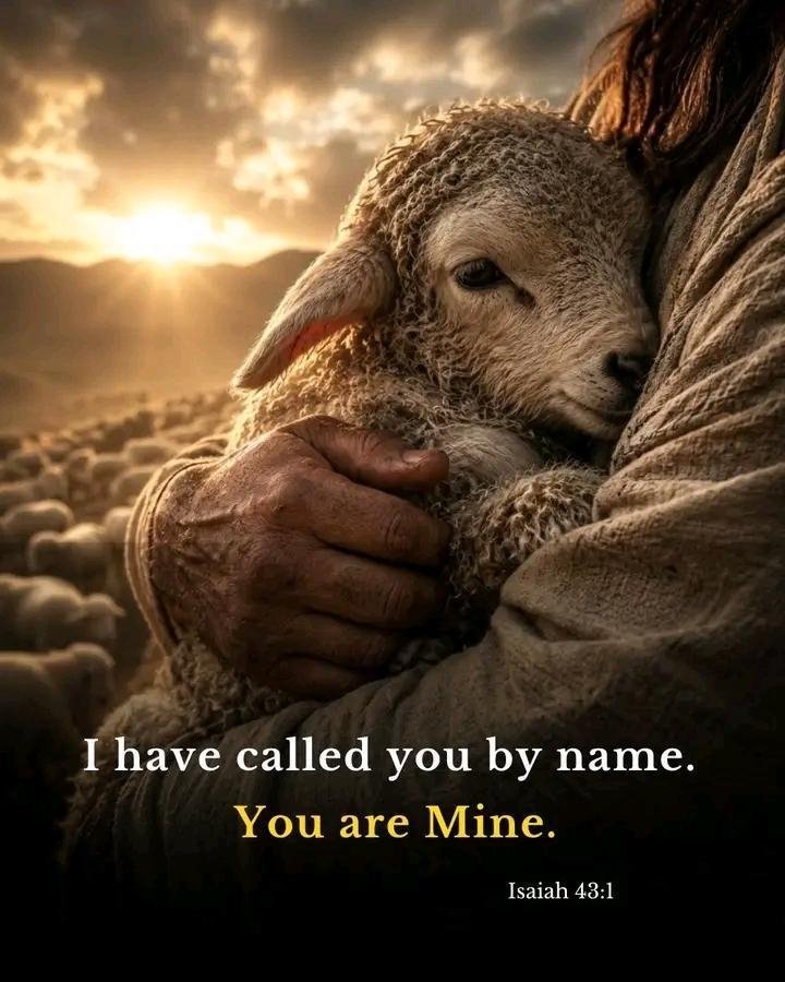 altinekasre1's tweet photo. “I have called you by name. You are mine.”

Isaiah 43:1 https://t.co/2MuA2T4XHK