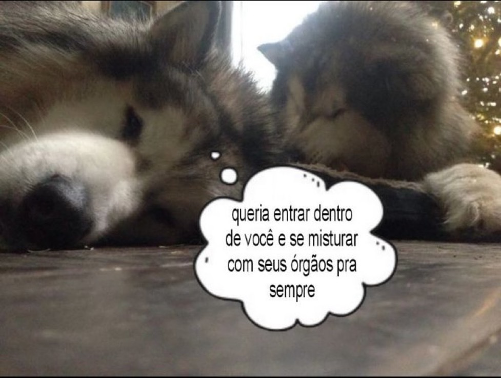 relacionemos's tweet photo. https://t.co/Xc3Nh4Q2hk