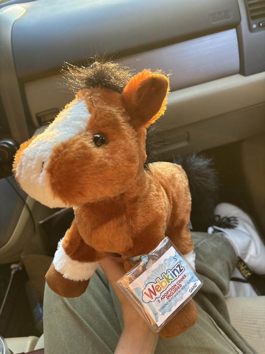 susie__xowie's tweet photo. two new Webkinz plushies in the past six months… I swear I’m 25 years old… https://t.co/qZ2pZy0ybO
