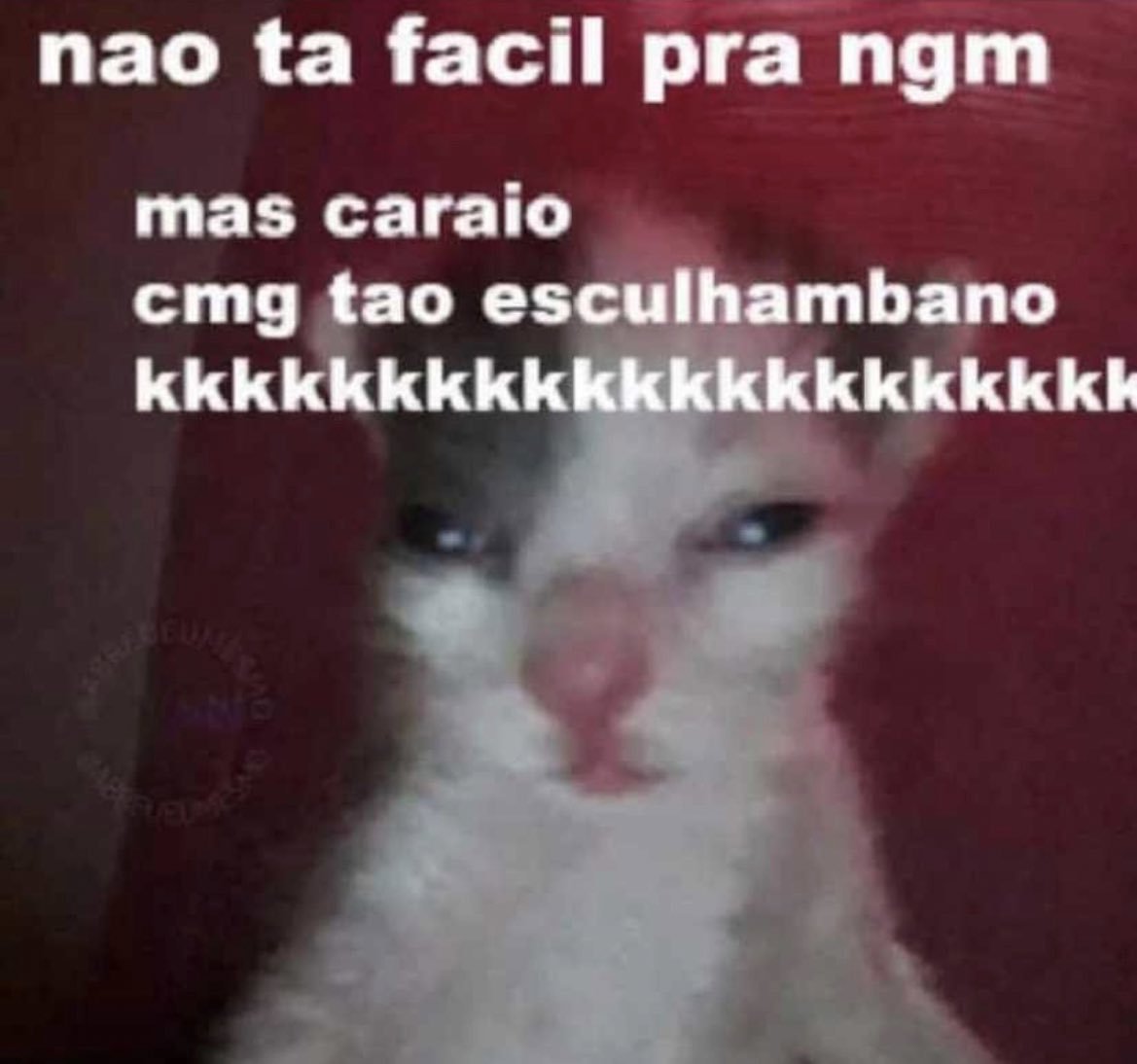 danistonem's tweet photo. A procura de canais de filmes no telegram com drive ou sei lá qualquer bosta pra assistir filme, porq não vou pagar pra alugar um filme que eu já pago a plataforma https://t.co/RCGB5LhUoM