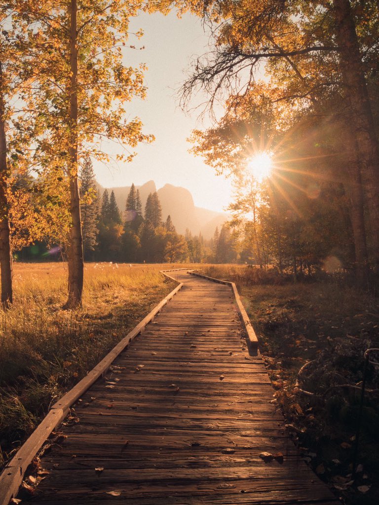 framejournal_'s tweet photo. Sunset in the Sierras

📸 @jeffmihaly https://t.co/YR5l4AjmdG
