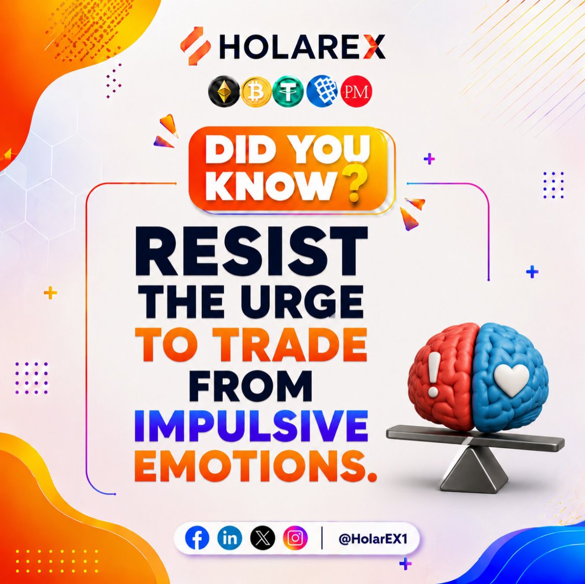 HolarEx tweet media