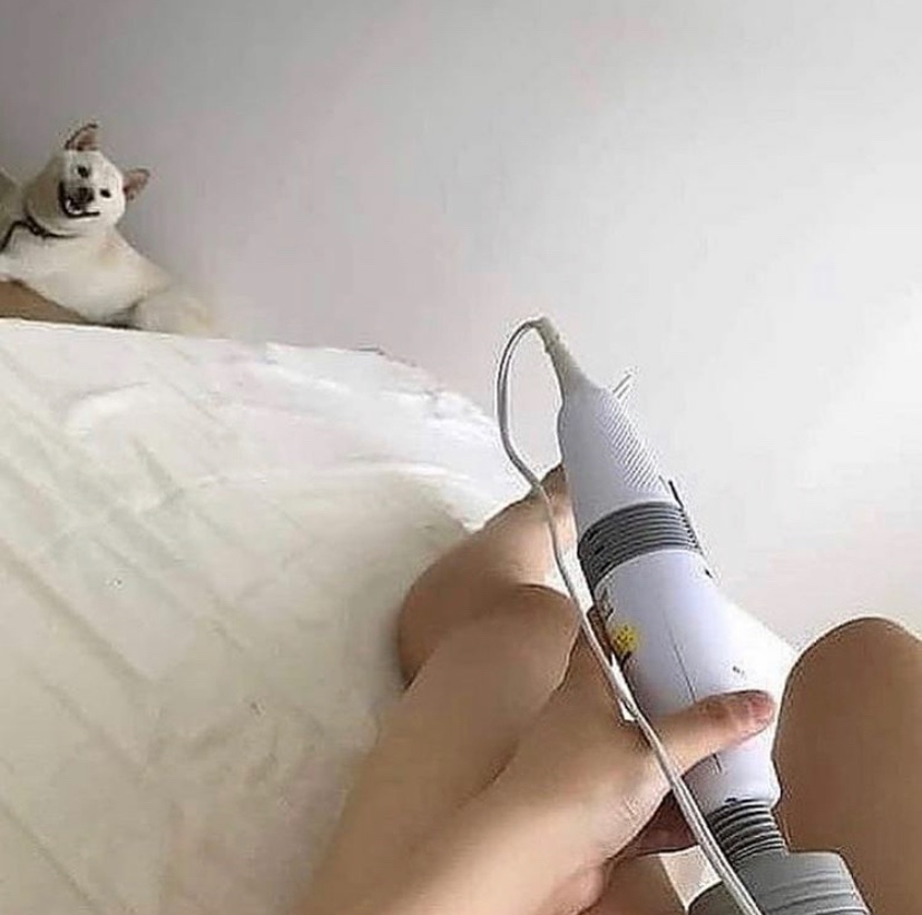fleshlightbug's tweet photo. @GeneralSamsSec Can’t believe they are disrupting the free market like this https://t.co/6k2PR1CnYi
