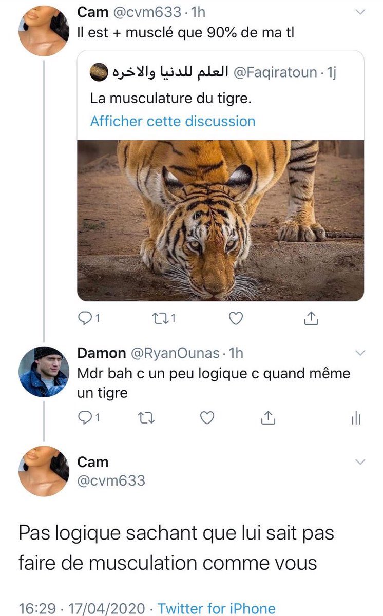 yvc1ne23's tweet photo. Le ptit duo https://t.co/aB2L0MNfXF