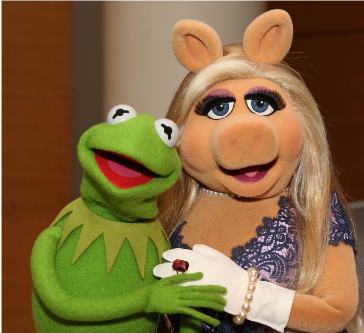 BackyardBane's tweet photo. @beinlibertarian Who else thinks this looks like Kermit &amp; Miss Piggy? https://t.co/LzLtP2jdAG