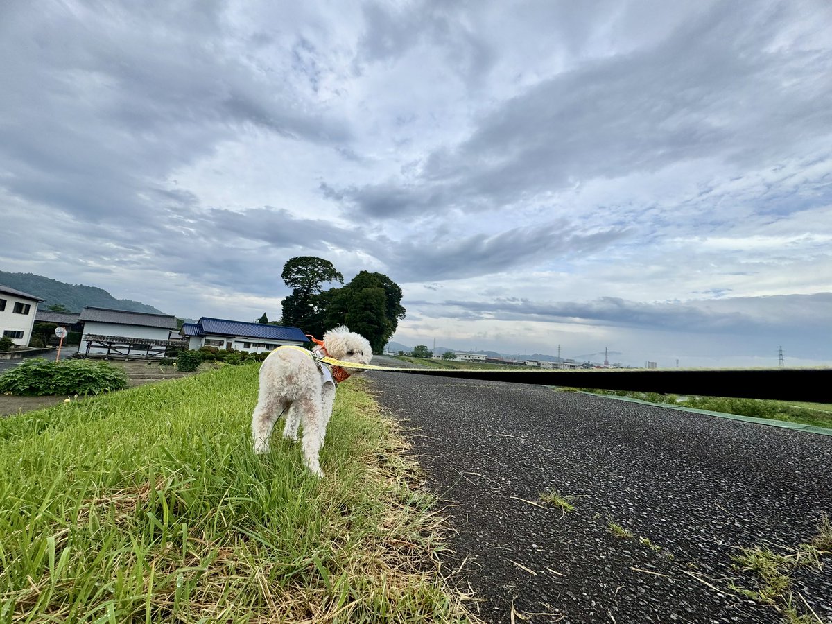 paakokooko20618's tweet photo. おはようございます
雨上がり、曇り空の隙間から青空が少し見えてる、いわきの朝
気温21.9℃、湿度100%(MAX)、日中33℃、☁️☂️→☁️の予報
湿度がすでにあって、日中は気温が上がるみたいで、熱中症に気をつけて過ごしましょう
良い一日を、よろしくお願いします

#空ネット #シェア天 #福島撮影隊 https://t.co/OGsScGePGK