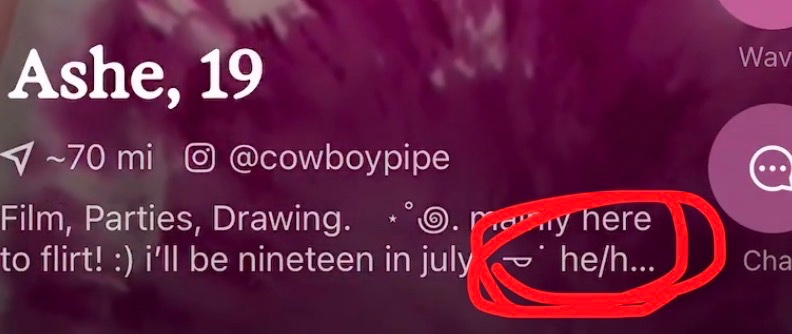 lupinesprig's tweet photo. @evilwyteboy @cherrywinefloat Likee he literally has he/him pronouns in his bio right there https://t.co/tsZ1mttbVC
