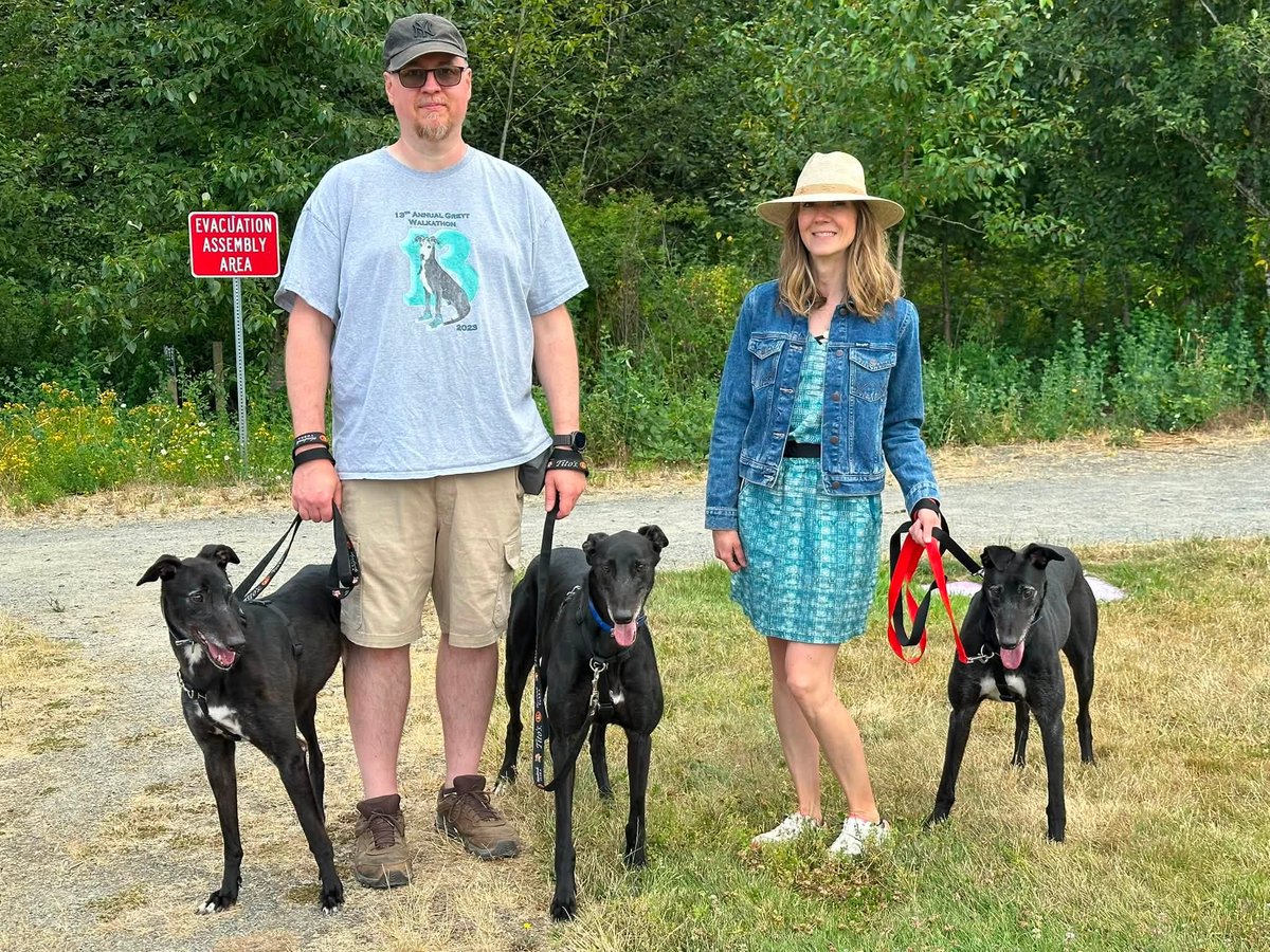 GPIGreyhounds's tweet photo. GPI Sunday Available Dog Report ~
Brightwater walk with ARCHIE, TINA, BEN, JONATHAN, ANNIE, BUNTY, IGOR and JASPER. Lovely breeze on the way. Thank you, volunteers!  Photos by Michelle, Mary, Ginger and Chris.   /1 of 2 https://t.co/ViquDrPW9I