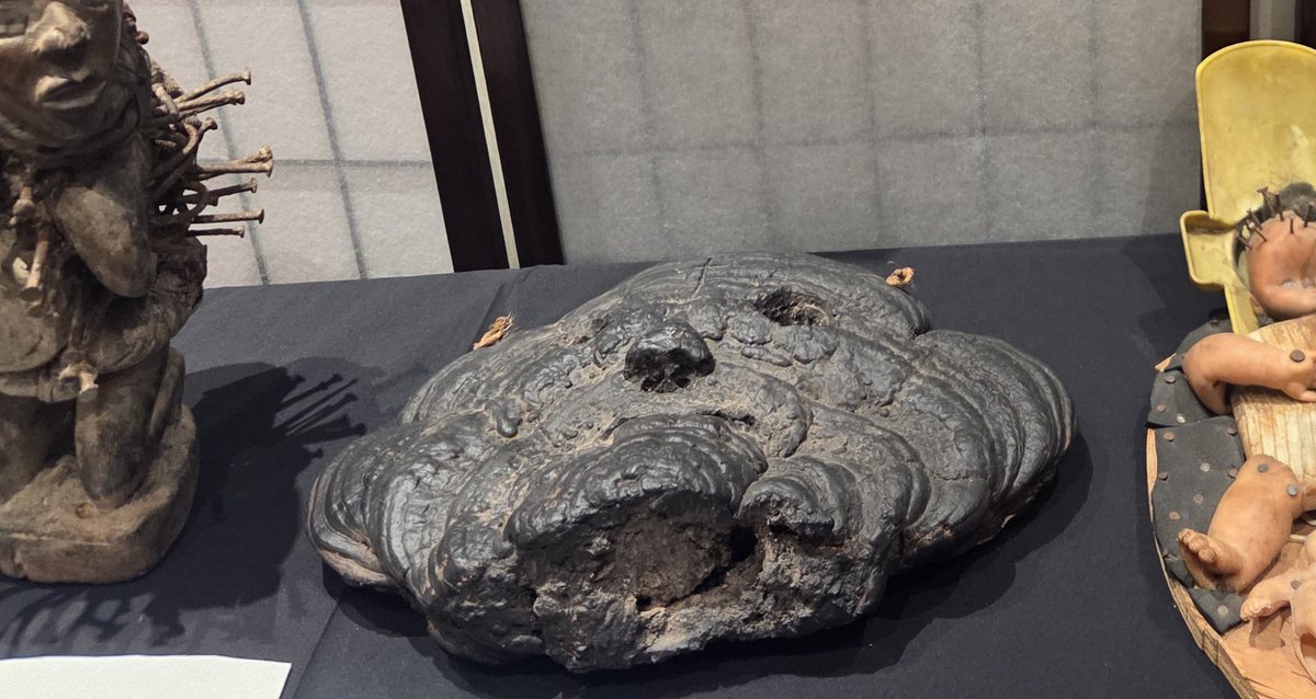 KyusakuMishima's tweet photo. 私が今、最も気になっている呪物が、ネパールの少数民族「ライ族」が信仰する「霧喰い」という呪物。

「霧喰い」という名称も、西洋の研究者やコレクターによって名付けられた通称で、正式な名前は一切不明。

ヒマラヤの麓に暮らすライ族が信仰する「キラント教」において、神・精霊のような守護者的存在とされ、仏像や神像と共に祀られたり、魔除けとして家の柱や屋根裏、玄関に吊るされたりする。

ヒマラヤ山脈の険しい崖に立ち込める霧を「食べて」晴らしてくれるとされ、崖を横断する前日にシャーマンが「霧喰い」に祈りを捧げて祈祷を受ける。

そして、無事に帰ってくることができたら、お礼として「ギー」と呼ばれる羊のバターを口元に塗りつけるという。

名前も不明で、詳細な情報もこれ以上ネットにはほとんど存在しない。

ライ族における正式な名称や、より詳しい儀式の内容など、今後も調べていきたい。

（1〜2枚目の写真は「イマーシブスリラーナイト3」で展示した時のものです。）