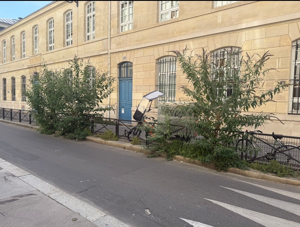 JCQDSE's tweet photo. @aminataniakate @EELV @EelvIdf @EELV_Paris @EELVParis15 Voici la première rue végétale de Paris, dans le 12e (mairie EELV). Quand vous aurez passé un après-midi à jouir de son air rafraîchi, vous pourrez revenir causer à la télé. Merci. https://t.co/PlxXoZNVtR