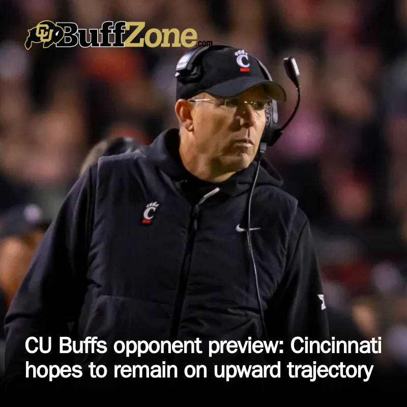 Buffzone tweet media