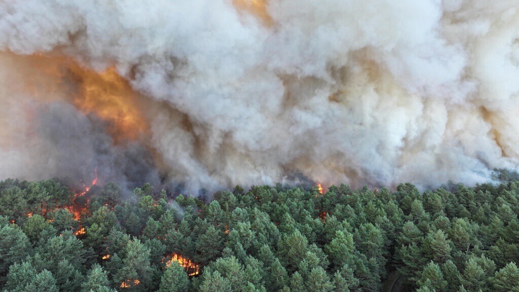 LeParisien_75's tweet photo. Les images impressionnantes des incendies au sud de Paris

➡️ https://t.co/OUWLQvDXut https://t.co/iTECrrKbOK