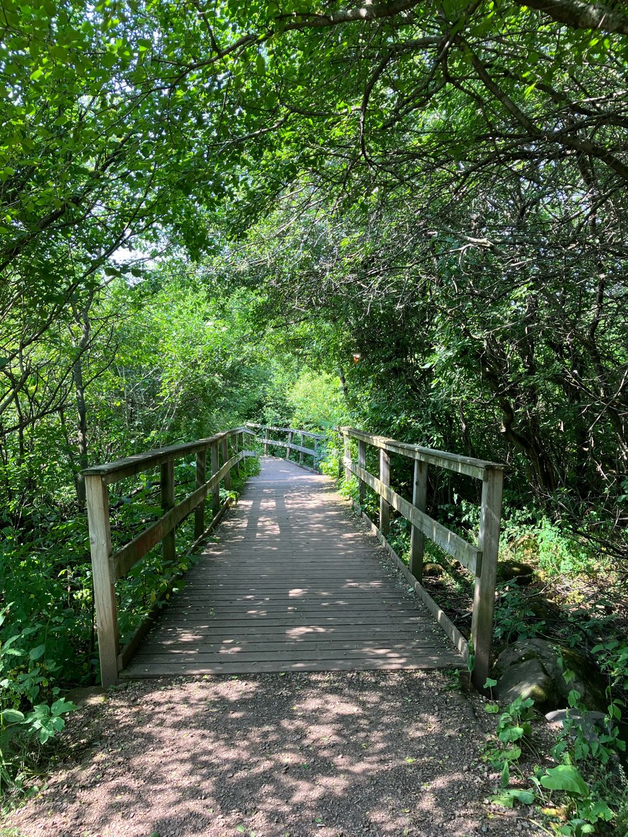 barbara_deetz's tweet photo. Sunday morning bike ride ... https://t.co/kktVReIlsE