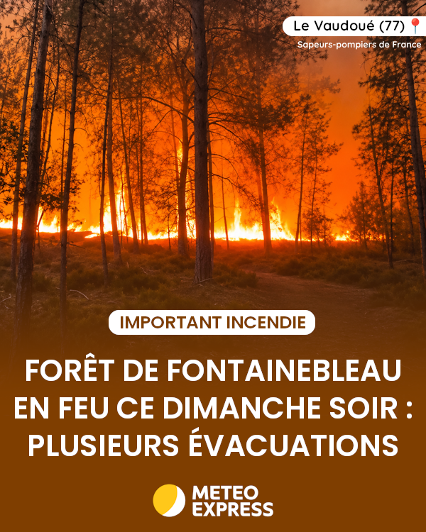 MeteoExpress's tweet photo. 🔥 La forêt de Fontainebleau est en feu ce dimanche soir ! L'incendie est très virulent et a déjà parcouru 300 hectares. L'A6 a été coupée. Les moyens engagés sont inédits pour un incendie en Île-de-France ! https://t.co/oUybSlJ32D