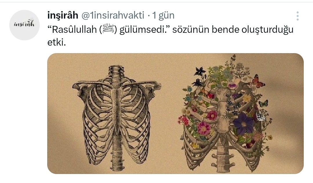mrvdenizz's tweet photo. https://t.co/lmCIXmoCDw