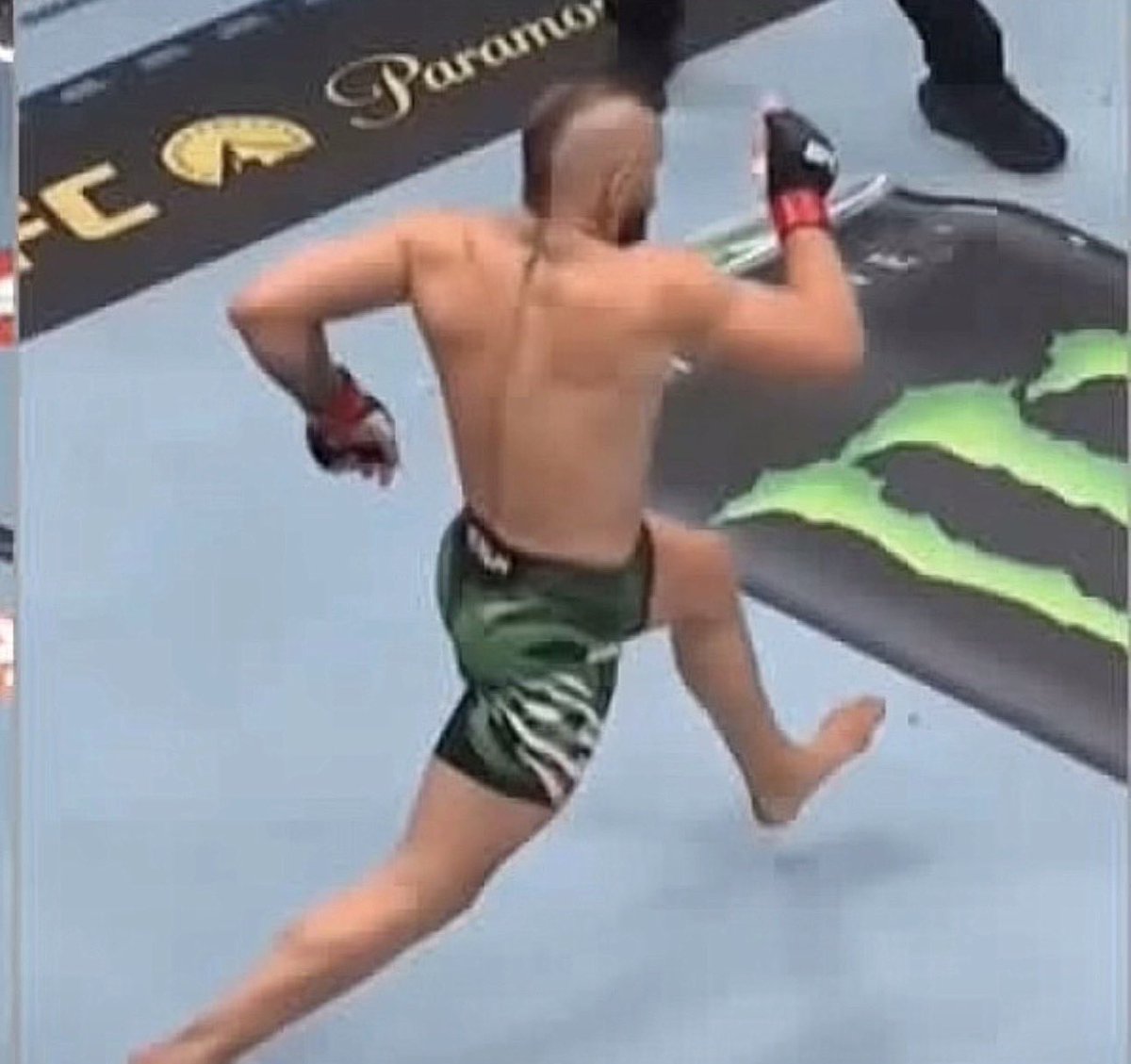 SavinTheBees's tweet photo. Me running to the door when I hear my package arrive https://t.co/K9JCPfNBZO