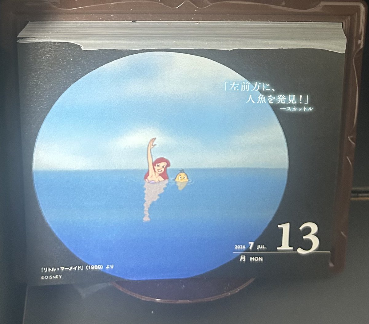 abbafungleek's tweet photo. おはようございます。 https://t.co/jviKNGldHg