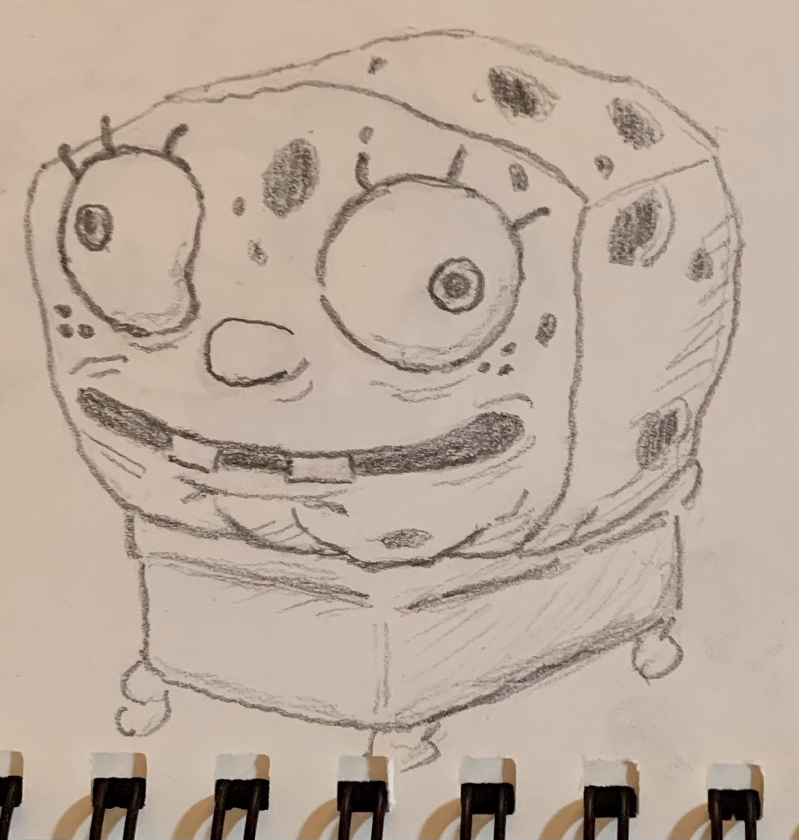 tonypizzaaa's tweet photo. quick little Bob https://t.co/9qFqBBH525