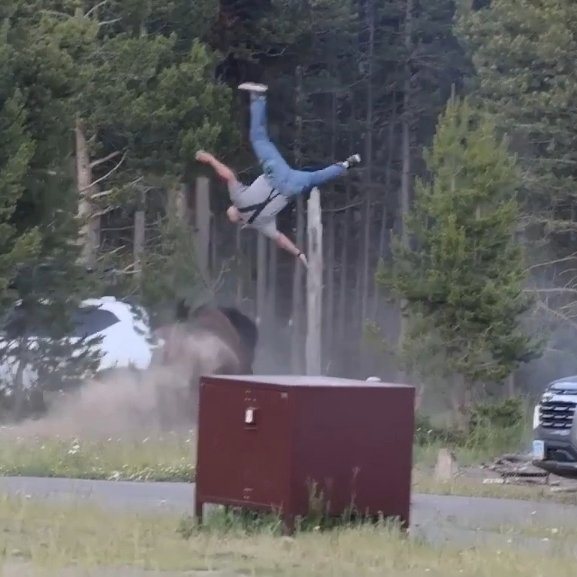 AMAZlNGNATURE's tweet photo. Bull bison tosses Yellowstone tourist 8 feet into the air

The man was reportedly seriously injured after the bull bison attack. The incident happened during the bison breeding season, when the animals are known to become highly aggressive https://t.co/IONxbFOlhq