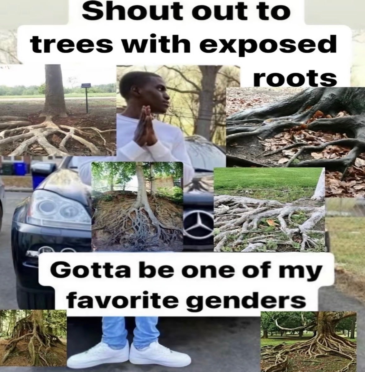 RespectfulMemes's tweet photo. https://t.co/cy0VXFjtyL
