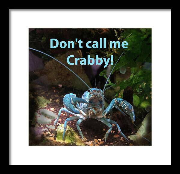 SteveKarol's tweet photo. Check out this humorous photograph on https://t.co/uJ3O4rEMf9 #humor #retirement #giftidea #birthdaygift #fishkeepers https://t.co/bbw0ieHJFb