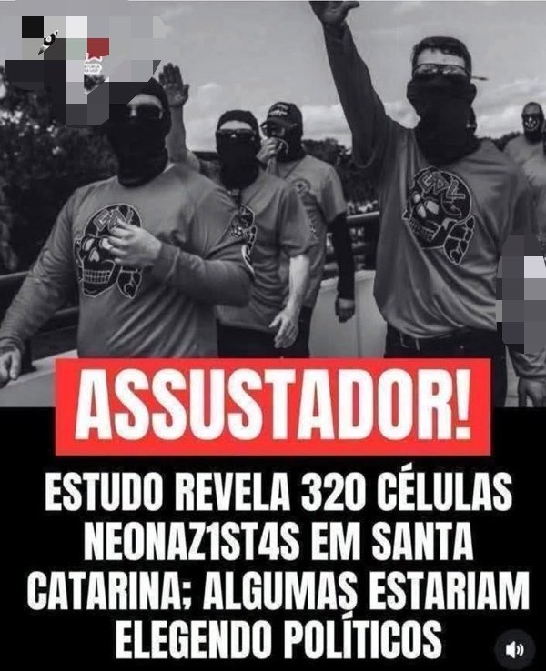🪶Porã ( Humanista) 🏹🌳 🐆 tweet media