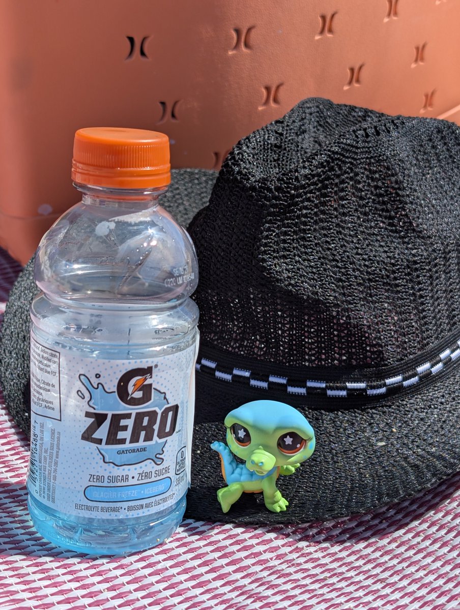 LPSIRL's tweet photo. Alert: gator on the beach! https://t.co/9vECoJ83Q1