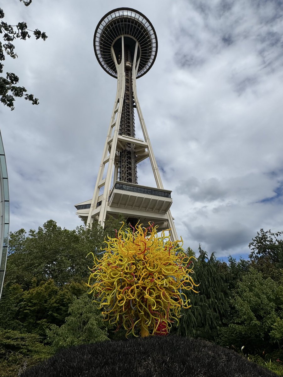 AlexWang12239's tweet photo. How can you not love Seattle https://t.co/9OkAveHsU6