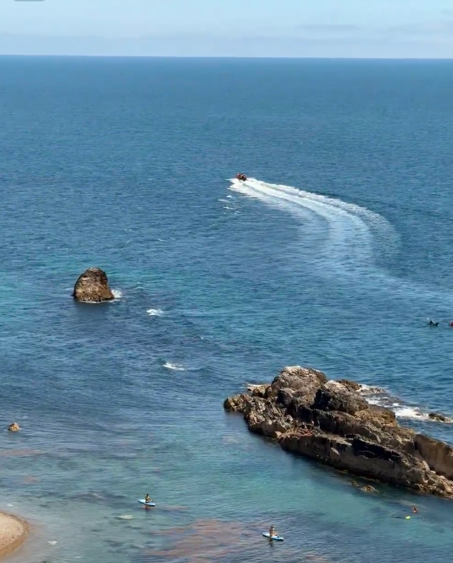 CarreonCute's tweet photo. small lesser known heart shaped sea spots are gorgeous too https://t.co/PBETI1pKhM