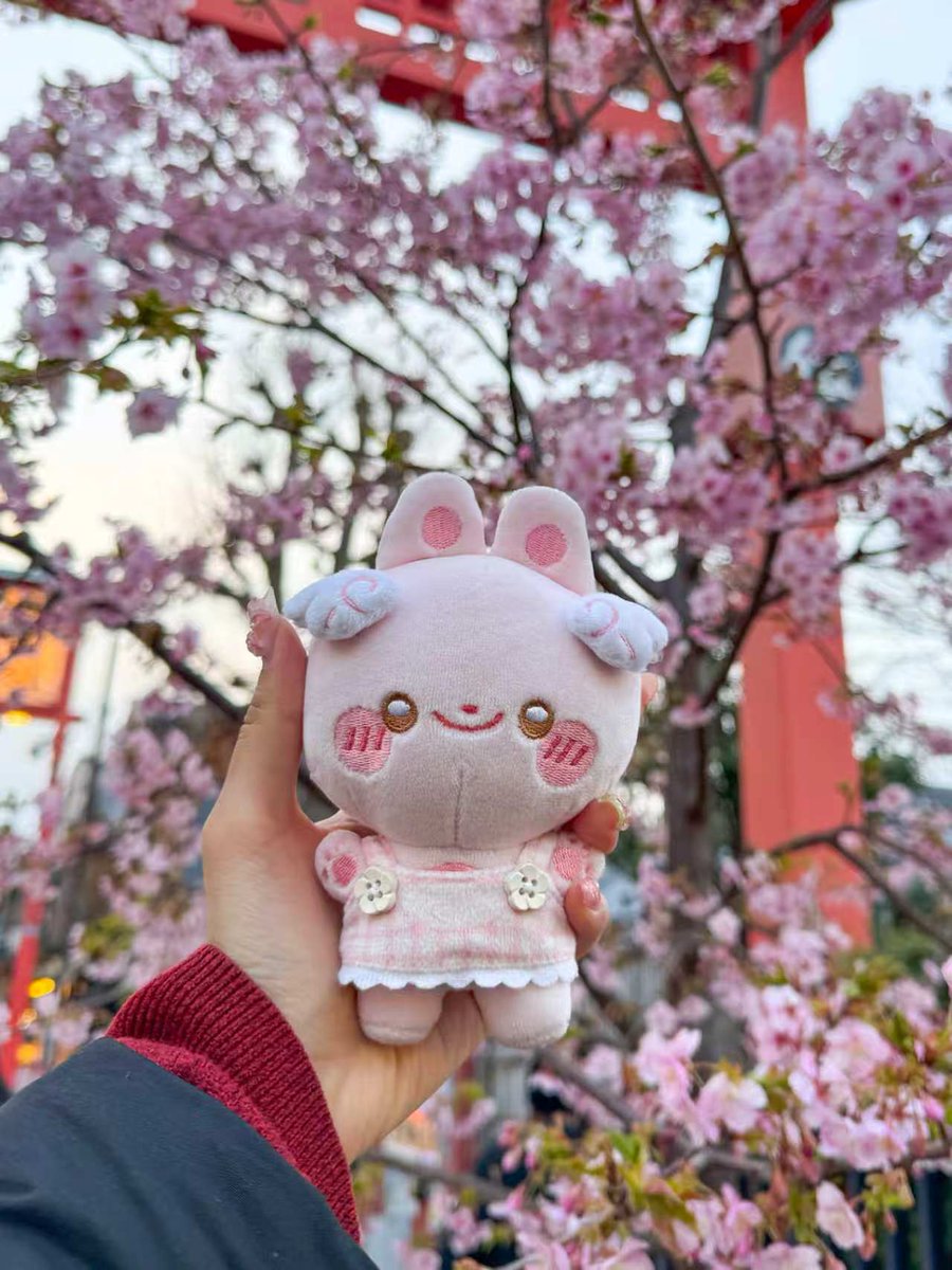 Custom Plushies Manu🧸(Gaopeng Toy) tweet media
