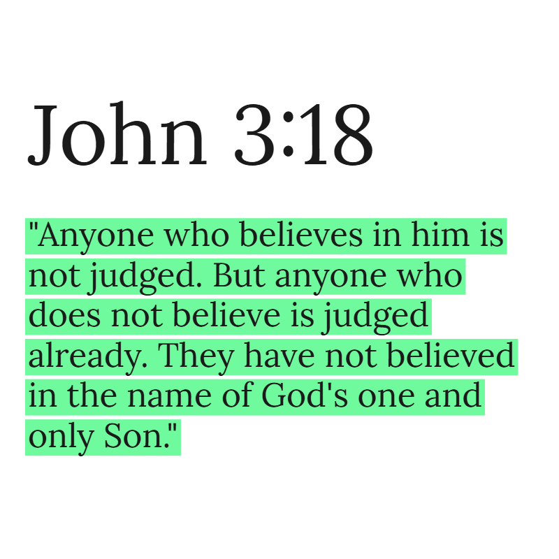Holy Bible tweet media