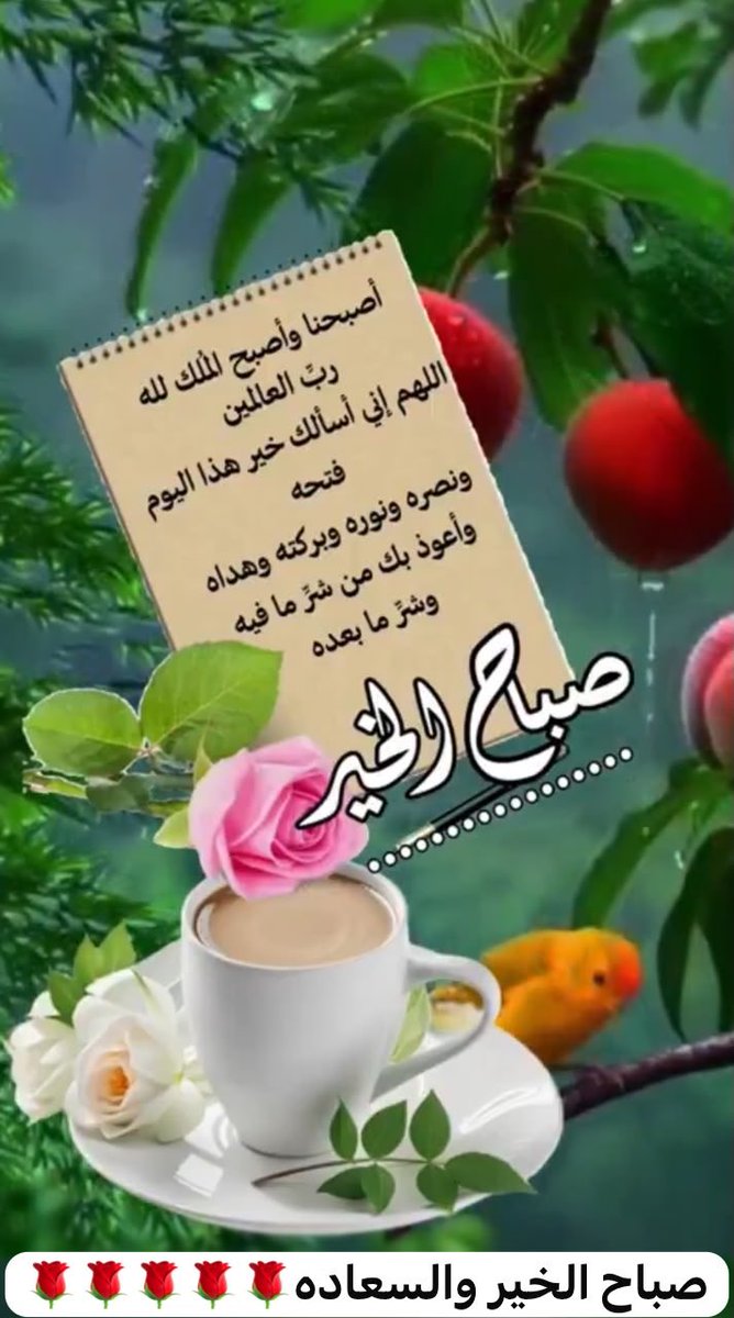 yanalabd's tweet photo. صباح الخير 🌹 https://t.co/7OLLZZLRTH