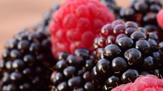 tipsheetwriter's tweet photo. How do you power up your morning smoothie? https://t.co/lURrNNlRkD https://t.co/oELv80WOv6